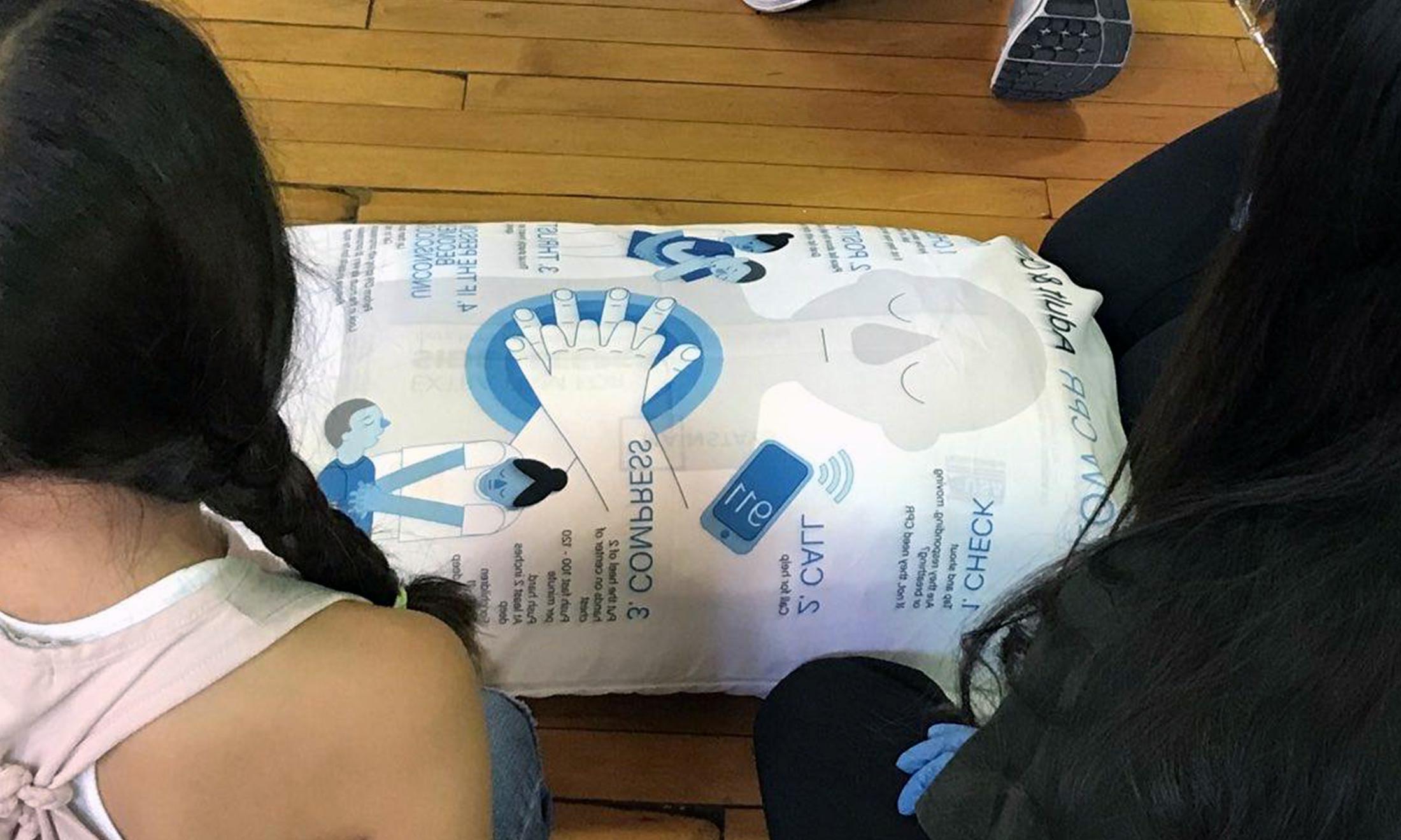 An image of Goldstein's pillow being used in training